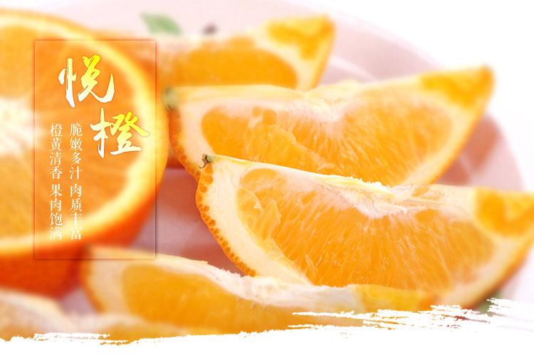 悦橙最新版，小巷中的美食盛宴探索