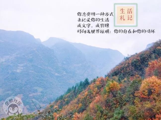 博罗龙溪最新招聘启事，探索自然美景之旅，寻找内心平静之旅的伙伴