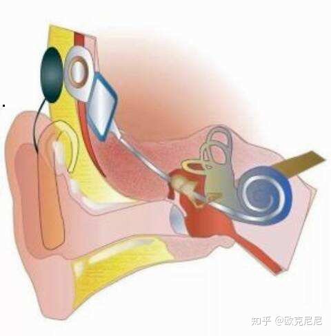 苹果专业合作社 第10页
