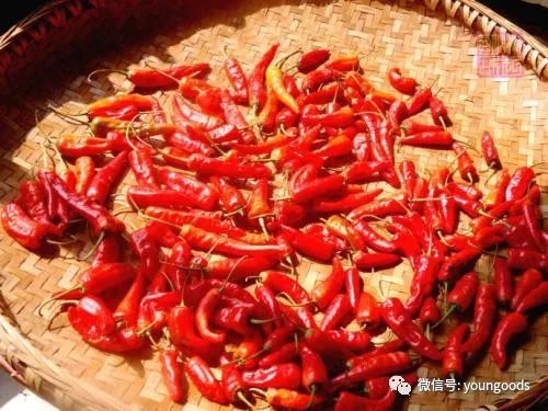 小辣椒最新款，小巷独特风味探秘之旅