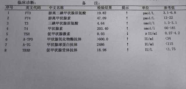 尿酸正常值最新标准，小巷深处的健康密码探索