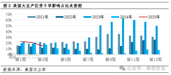 美豆期货最新动态，变化中的机遇，激发自信与成就感之源