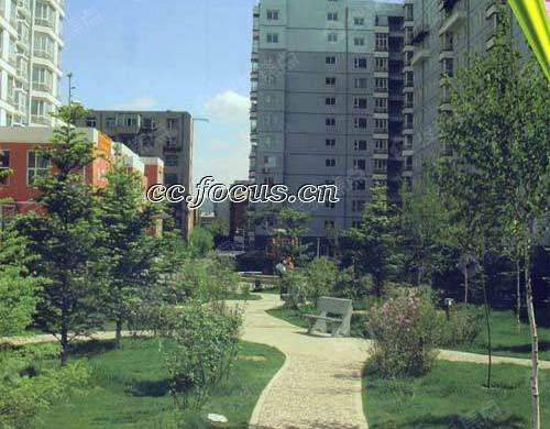 涡阳都市花园最新动态更新