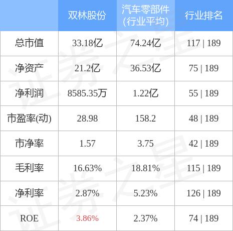 双林股份最新动态及消息更新📣📈