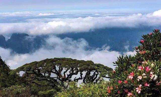方济各最新动态，自然美景探索之旅，追寻内心平和与喜悦