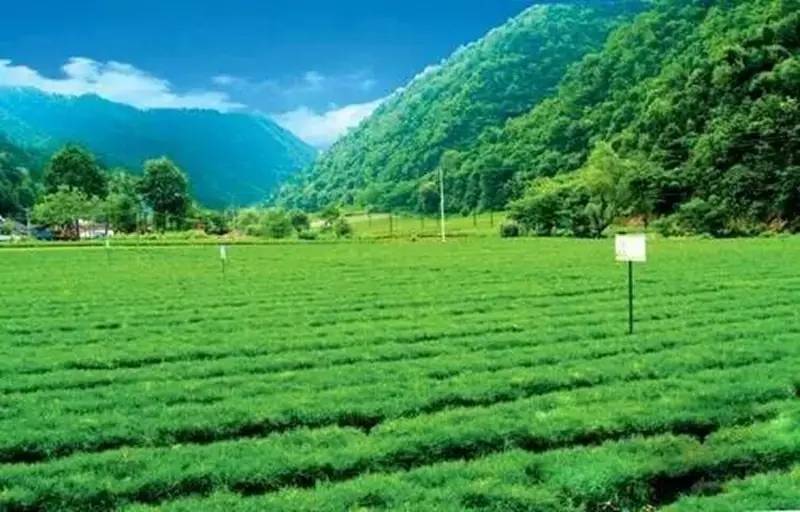 广西双彩最新开奖结果与自然美景的探险之旅